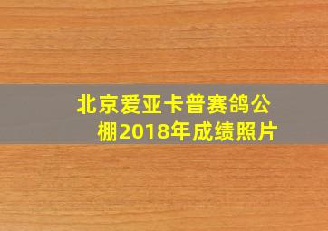 北京爱亚卡普赛鸽公棚2018年成绩照片