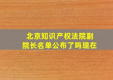 北京知识产权法院副院长名单公布了吗现在