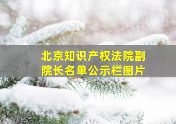 北京知识产权法院副院长名单公示栏图片