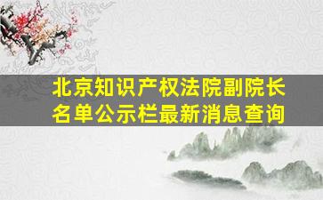 北京知识产权法院副院长名单公示栏最新消息查询