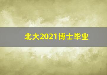 北大2021博士毕业