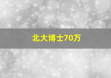 北大博士70万