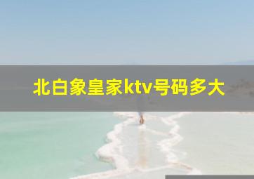 北白象皇家ktv号码多大