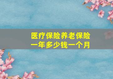 医疗保险养老保险一年多少钱一个月