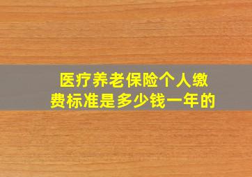 医疗养老保险个人缴费标准是多少钱一年的