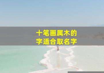 十笔画属木的字适合取名字