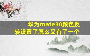 华为mate30颜色反转设置了怎么又有了一个