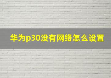 华为p30没有网络怎么设置