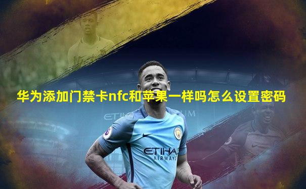 华为添加门禁卡nfc和苹果一样吗怎么设置密码