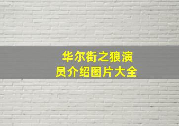 华尔街之狼演员介绍图片大全