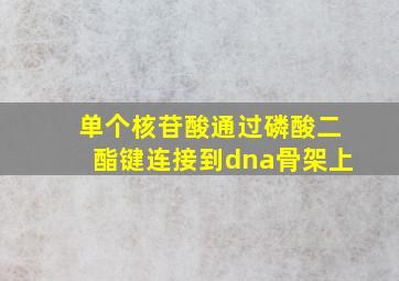 单个核苷酸通过磷酸二酯键连接到dna骨架上