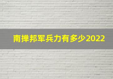 南掸邦军兵力有多少2022