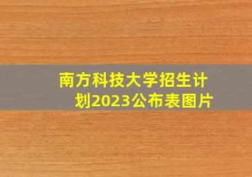 南方科技大学招生计划2023公布表图片