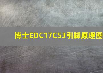 博士EDC17C53引脚原理图