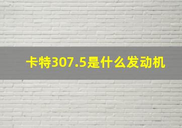 卡特307.5是什么发动机