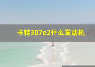 卡特307e2什么发动机