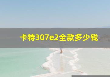 卡特307e2全款多少钱