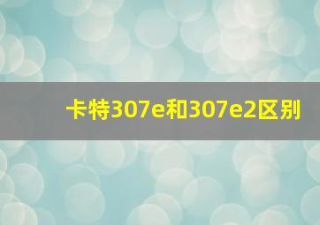 卡特307e和307e2区别