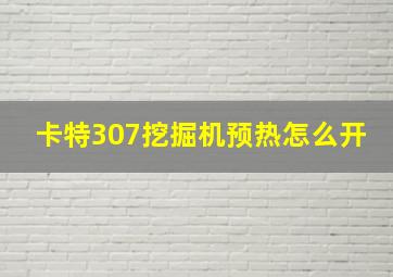 卡特307挖掘机预热怎么开