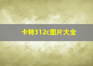 卡特312c图片大全