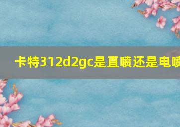 卡特312d2gc是直喷还是电喷