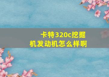 卡特320c挖掘机发动机怎么样啊