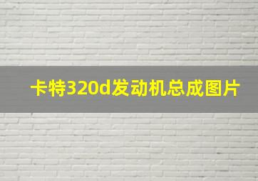 卡特320d发动机总成图片