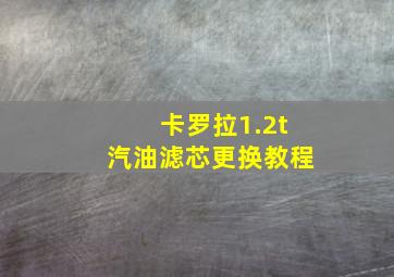 卡罗拉1.2t汽油滤芯更换教程