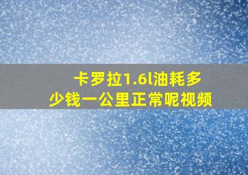 卡罗拉1.6l油耗多少钱一公里正常呢视频