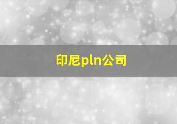 印尼pln公司