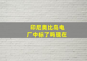 印尼奥比岛电厂中标了吗现在