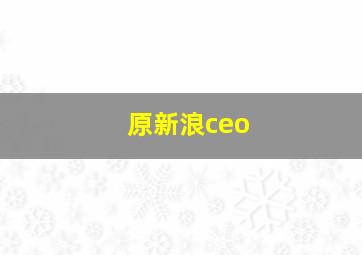 原新浪ceo