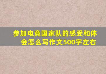 参加电竞国家队的感受和体会怎么写作文500字左右