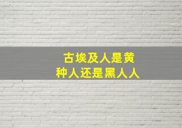 古埃及人是黄种人还是黑人人