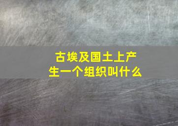 古埃及国土上产生一个组织叫什么