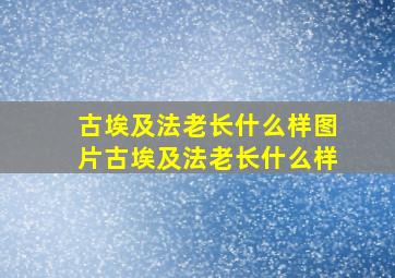 古埃及法老长什么样图片古埃及法老长什么样