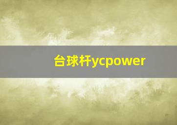 台球杆ycpower