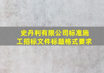 史丹利有限公司标准施工招标文件标题格式要求