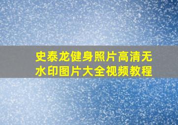 史泰龙健身照片高清无水印图片大全视频教程