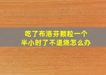 吃了布洛芬颗粒一个半小时了不退烧怎么办