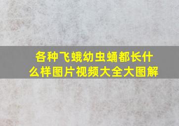 各种飞蛾幼虫蛹都长什么样图片视频大全大图解