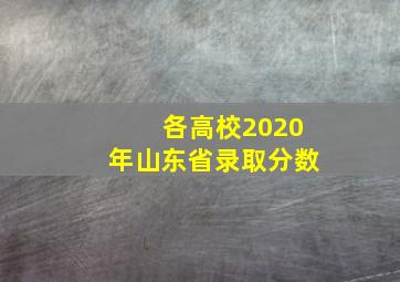 各高校2020年山东省录取分数