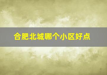 合肥北城哪个小区好点