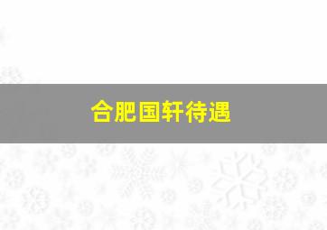 合肥国轩待遇