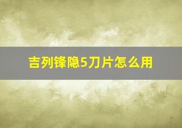 吉列锋隐5刀片怎么用