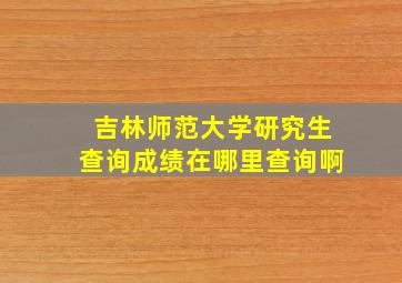 吉林师范大学研究生查询成绩在哪里查询啊