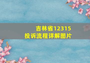 吉林省12315投诉流程详解图片