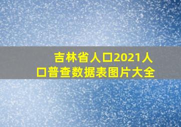 吉林省人口2021人口普查数据表图片大全