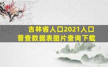 吉林省人口2021人口普查数据表图片查询下载