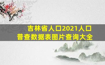 吉林省人口2021人口普查数据表图片查询大全